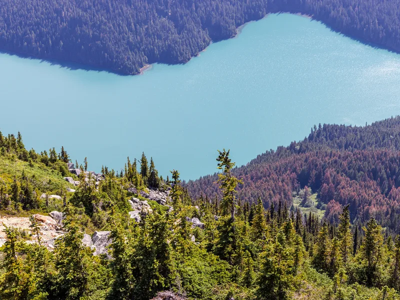 Whistler