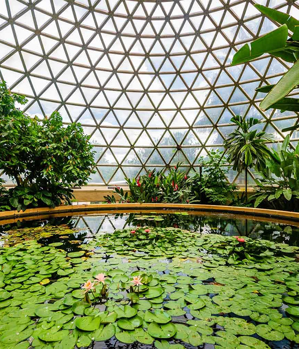 Jardín Botánico de Brisbane